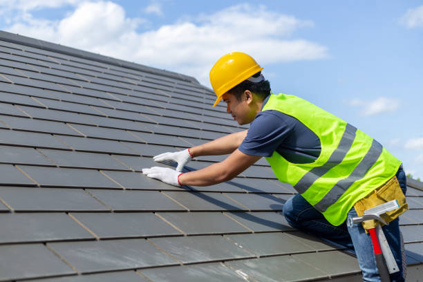 Best Roof Gutter Cleaning  in Watertown, FL